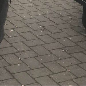 Meet your Posher, Julissa